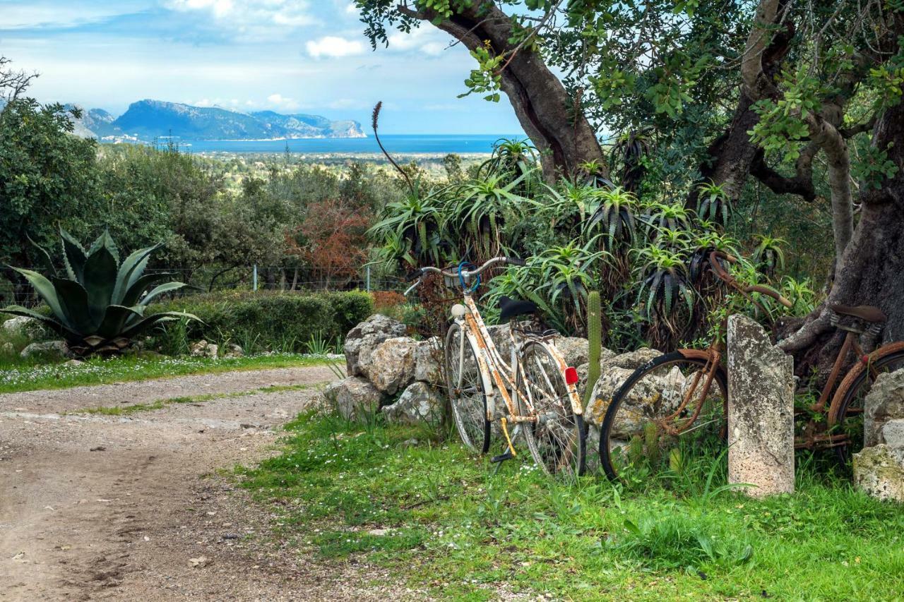 Agroturismo Can Guillo Βίλα Pollença Εξωτερικό φωτογραφία