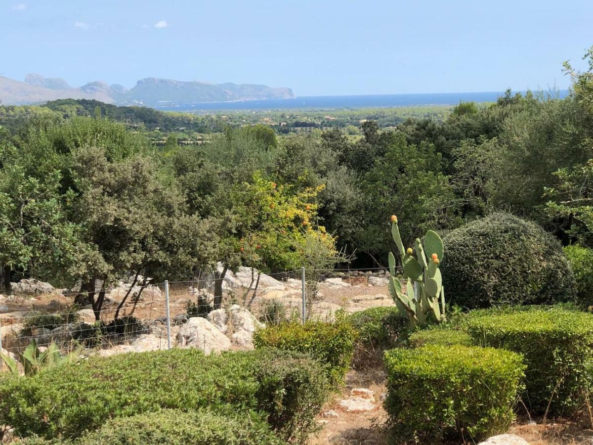 Agroturismo Can Guillo Βίλα Pollença Εξωτερικό φωτογραφία